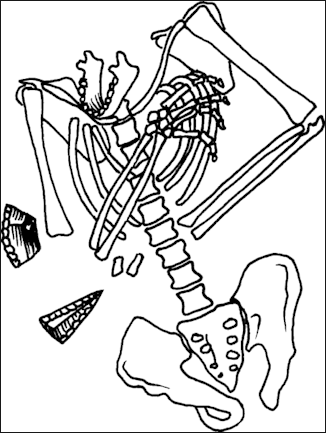 20120205-Neanderthal-burial 2.gif